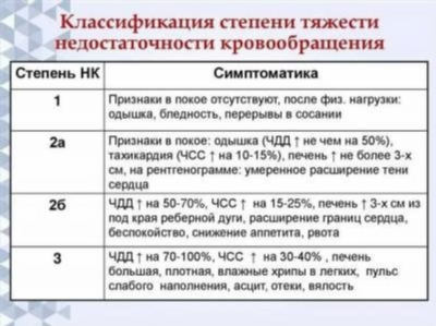 Флебологический Центр Антирефлюкс: помощь при хронических венозных заболеваниях