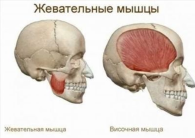 Почему сводит челюсть?