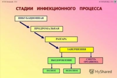 Памятка: Профилактика гриппа и коронавирусной инфекции