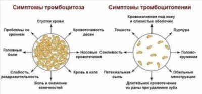 Паразитарные инфекции и гельминты