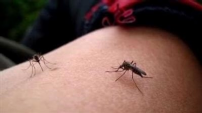 Лечение аллергии на комариный укус у ребенка