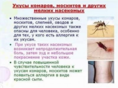 Причины возникновения аллергии на комаров