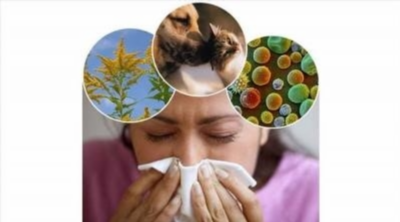 Эффективные методы лечения аллергии на комаров
