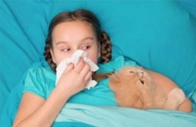Лечится ли аллергия на животных?