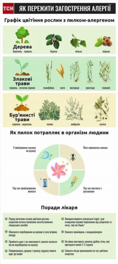 Симптомы и признаки аллергии на сорные травы