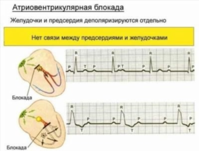 Волынская больница