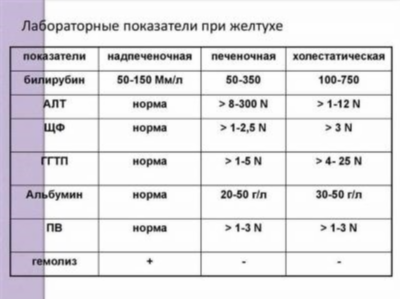 Норма билирубина и патология у беременных