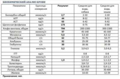 Креатининовый тест – рекомендации по забору крови