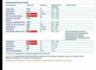 Зачем нужен анализ крови на стерильность?