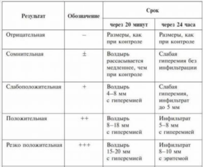 Гипоаллергенные породы кошек – миф или реальность?