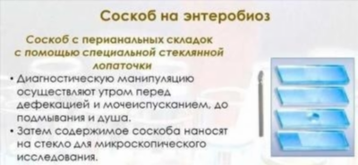 Зачем нужен анализ на яйцеглист и энтеробиоз