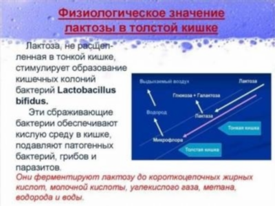 Прогноз и профилактика