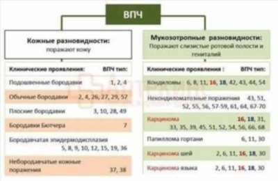 Анализы на ВПЧ у женщин и мужчин: