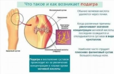 Анализ крови: что показывают показатели?