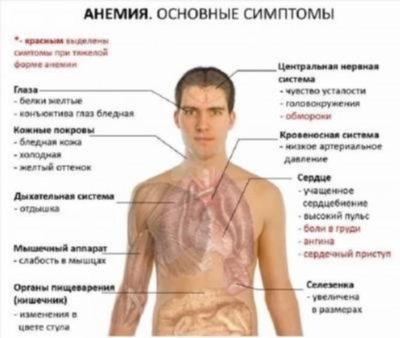 Причины развития железодефицитной анемии