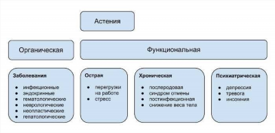 Физическая активность и астения: важность постепенного возвращения к тренировкам