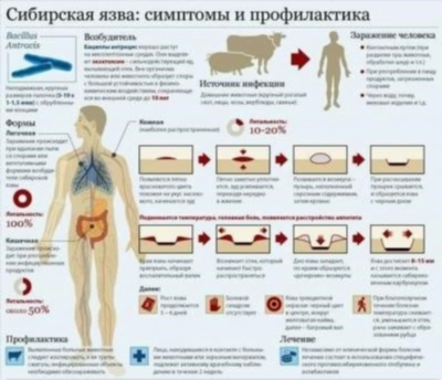 Лечение азооспермии: современные методы и возможности