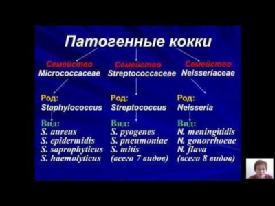 Чем лечить бактериальные инфекции у женщин