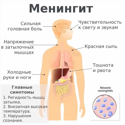 Диагностика и лечение бактериальных менингитов