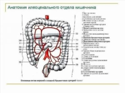 Почему стоит обратиться в клинику «Мама Папа Я»?