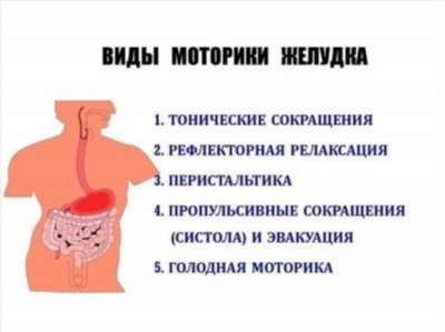 Связь асцита с заболеваниями брюшной полости