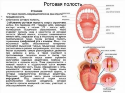 Диагностика асцита